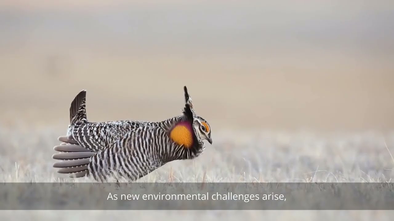 WWF 2022 Fuller Symposium: Exploring OECMs