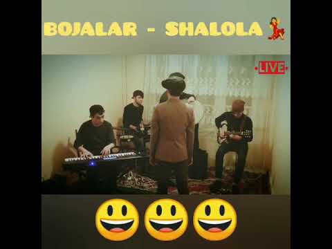 Bojalar hayratda 😂😂😂🤣🤣