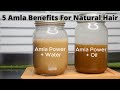 Amla Powder For Hair Growth Benefits How To Use For Natural Hair