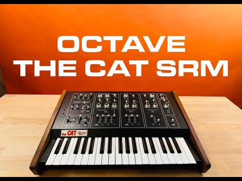 OCTAVE CAT SRM I DEMO FOR MATT