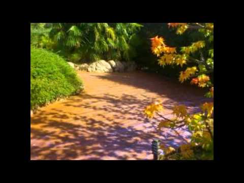 Beton Amprentat Săldăbagiu Mic Tel.0761350488 Bihor,Austria,Ungaria,Serbia