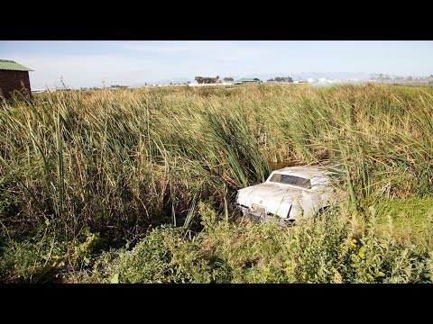 Głos śmierci - Reputacja mordercy