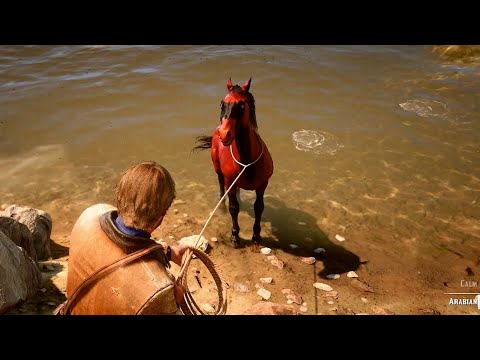 Clever horse, Arthur tried hard to catch it but it ran away - Rdr2 | Gameplay