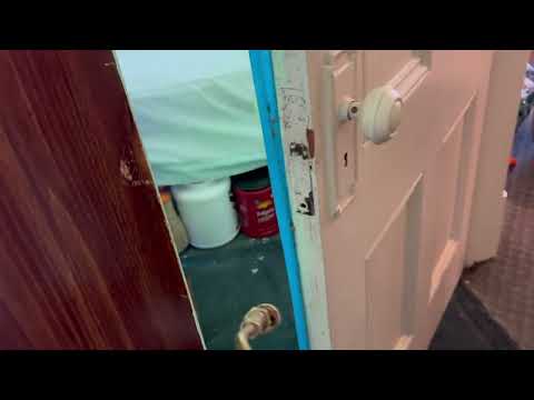 Cockroaches Harboring Between the Door Frame...