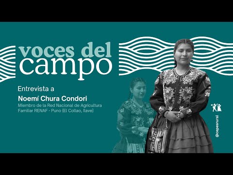 Puno: Cada vez más mujeres aimaras alzan la voz en las comunidades