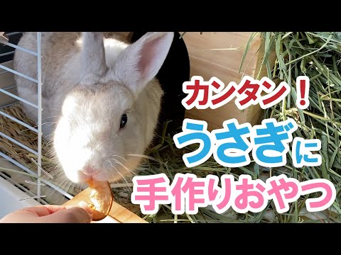 ウサギに最適なおやつ