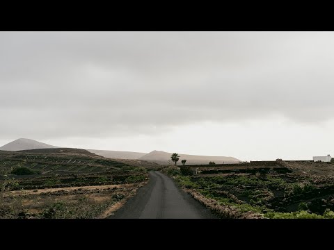 ?Música para ALIVIAR o Estresse: Aprenda a Relaxar com Nossas Melhores Playlists! ?