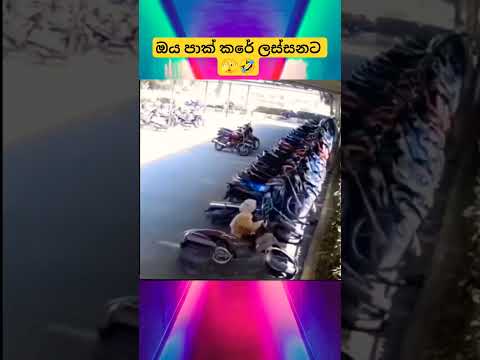 That park is beautiful 🫣🤣