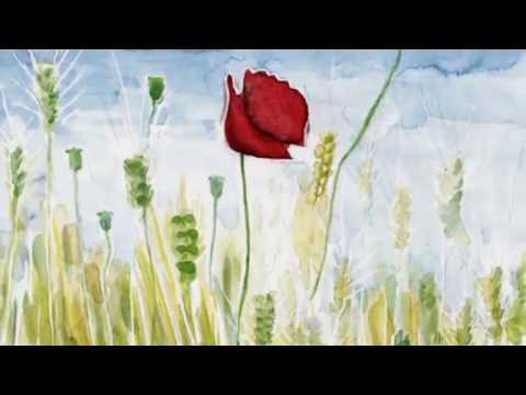 La guerra di Piero - Fabrizio De André