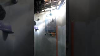 Download lagu CARA LOVE BIRD AGAR NGEKEK PANJANG, (Terapi gemericik air buat lover bird) mp3