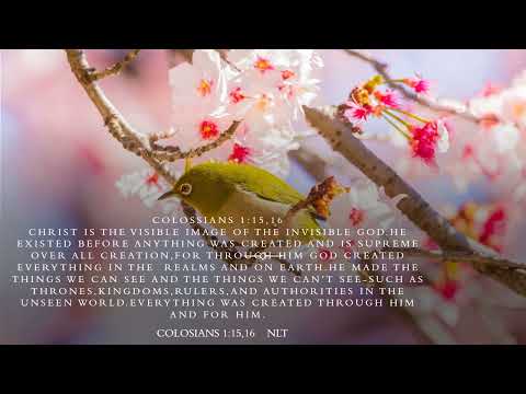 Praise The LORD Who Is My Rock Psalm 144:1.