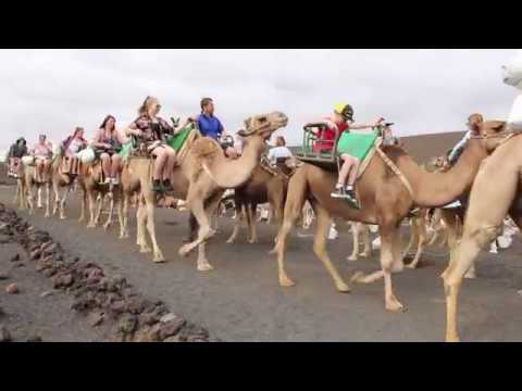 LANZAROTE 2017 #2 | Lava, Pooping camels and Aloe Vera