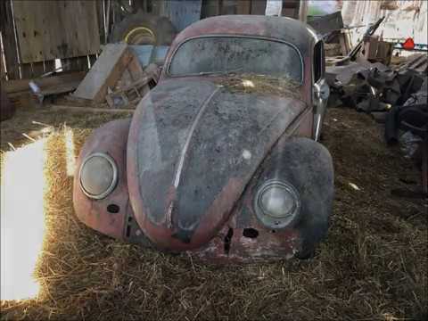 Split window Volkswagen rescue