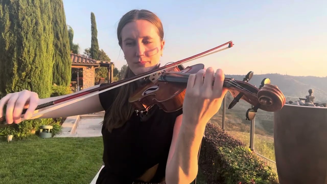 Promotional video thumbnail 4 for DaNece Lyman, violin