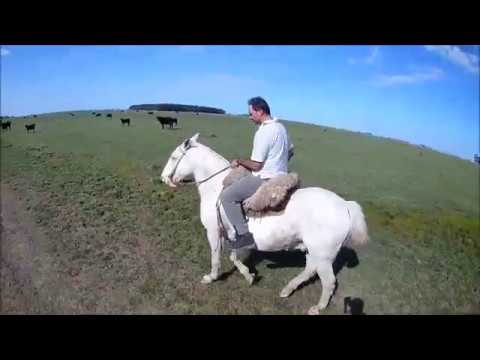 Cabalgata Estancia LA TIGRA