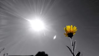 Vangelis - EL Greco - Movement IV