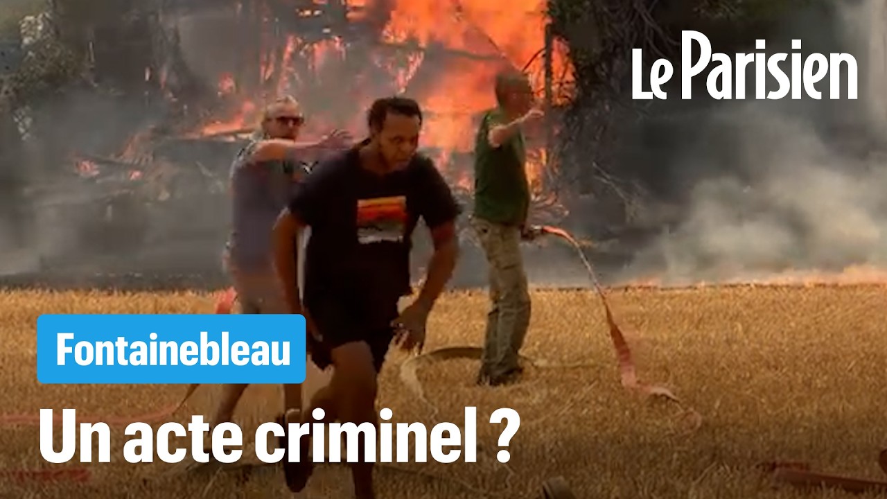 Illustration: Fontainebleau : 1000 hectares brûlés, la piste criminelle se précise