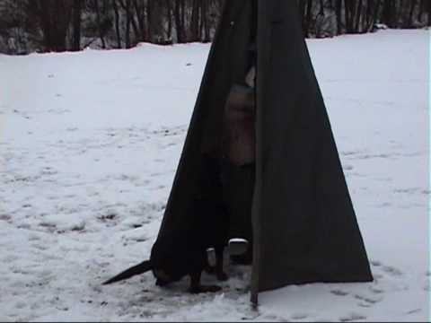 Tabea vom Hause Enzian