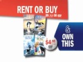 Dolphin Tale Buddy Up