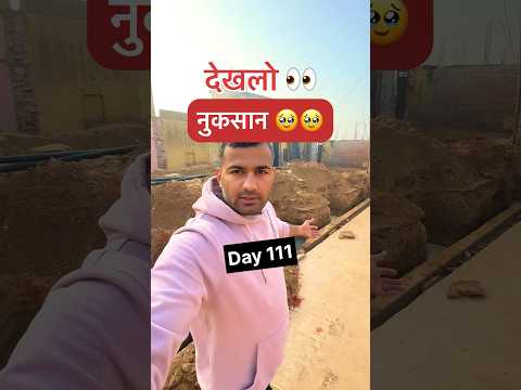 Dream House Series Day 111 of Building Dream House