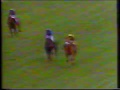 1991 Punchestown JP Harty Memorial Handicap Chase Have A Barney