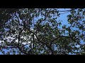 USHHH 2018 SHORT FILM HORROR