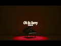 PVLN Oh So Sorry Official Audio