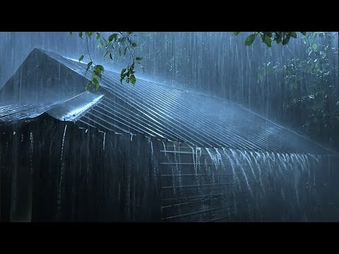 Fall Asleep Instantly with Heavy Rain & Thunder on a Tin Roof / Beat & Goodbye Insomnia in 3 Minutes