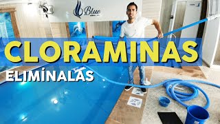 Todo sobre Cloraminas en la piscina ¿Qué son ¿Cómo se forman ¿Qué hacer para eliminarlas