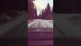 bears den broken parable