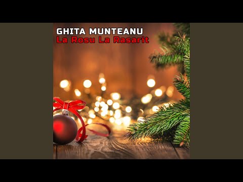 O, Ce Veste Minunata