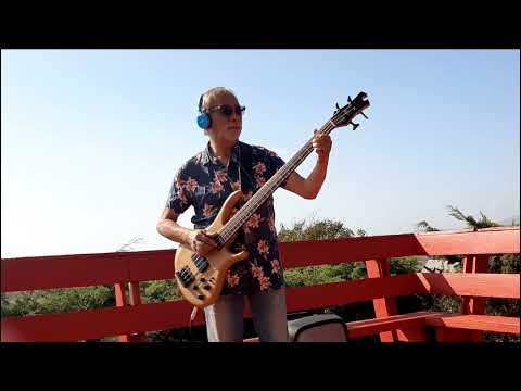 And your bird can sing  - PLAIN BOYS  -  cover