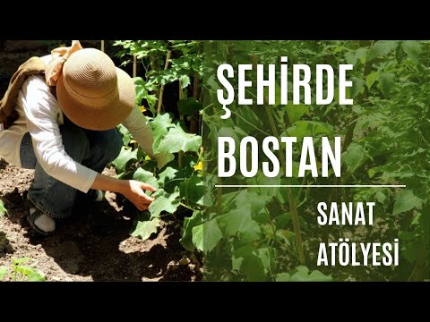 #4 Kalem İşi Çalışmam | Şehirde İlk Bostanım | Sessiz Vlog
