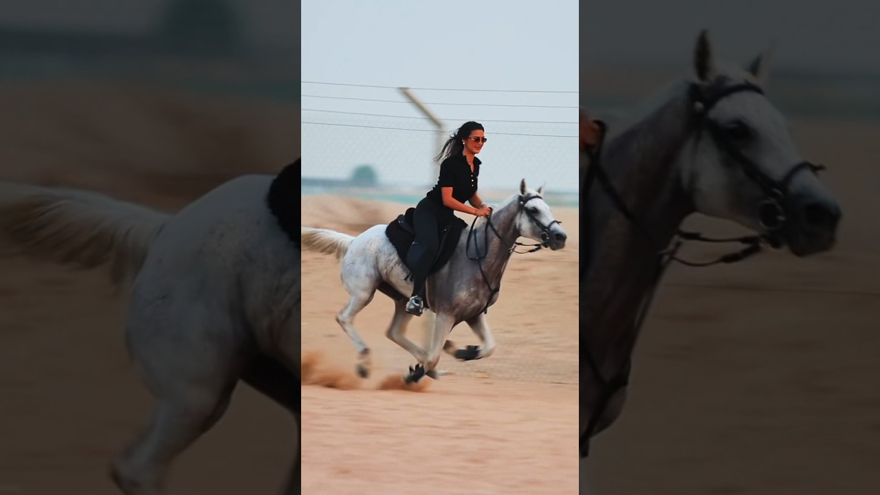 Girl Horse Speed Up 💪🐎🔥 | Powerful Horse Riding