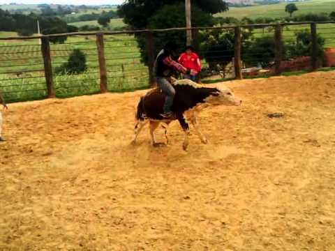 tom hanf x red bull (cl do ciro)