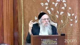 הגה"ח הרב מענדל וועכטר שליט"א - ט"ז מנחם אב - הכנה לימי הסליחות (הרב אברהם מנחם מענדל וכטר) - התמונה מוצגת ישירות מתוך אתר האינטרנט יוטיוב. זכויות היוצרים בתמונה שייכות ליוצרה. קישור קרדיט למקור התוכן נמצא בתוך דף הסרטון