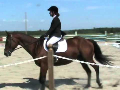 comment participer a un concours d'equitation