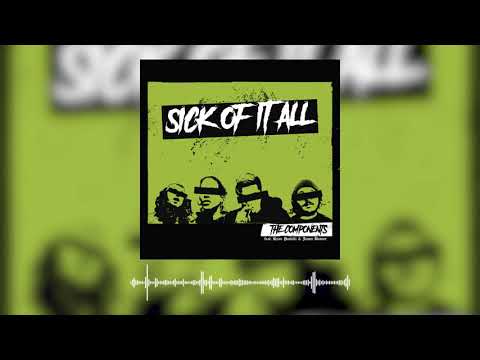 The Components - Sick Of It All (The Distillers Cover) [Visualizer]