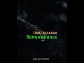Aranmanai Song Whatsapp Status Video Sengandhale Aranmanai 3 Songs Sengandhale Lyrical Video