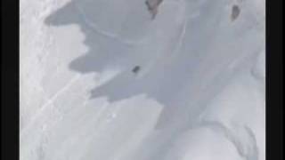 "INO hidefumi / Madsummer Reminiscence"