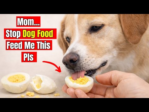 20 Human Foods Dogs Need MORE Than Dog Food (Cheaper & Healthier)