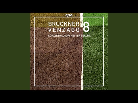 Symphony No. 8 in C Minor, WAB 108: I. Allegro moderato