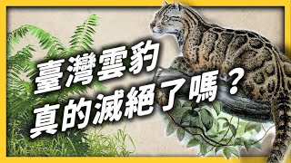 [問卦] 台灣雲豹是否真的滅絕了