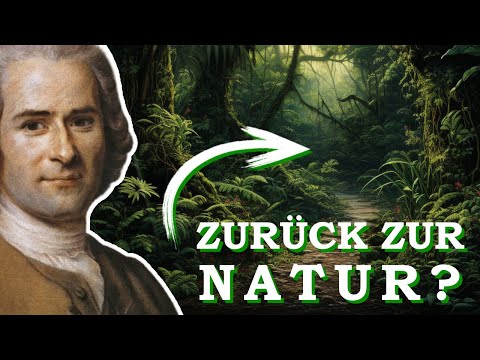 Jean-Jacques Rousseau erklärt: Gesellschaftsvertrag & Naturzustand | Einführung Philosophie