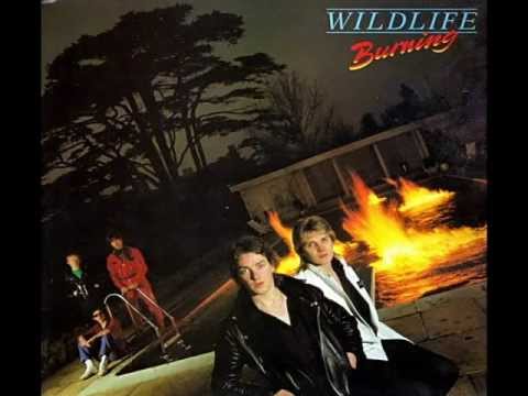 Wildlife (Steve Overland) - Burning