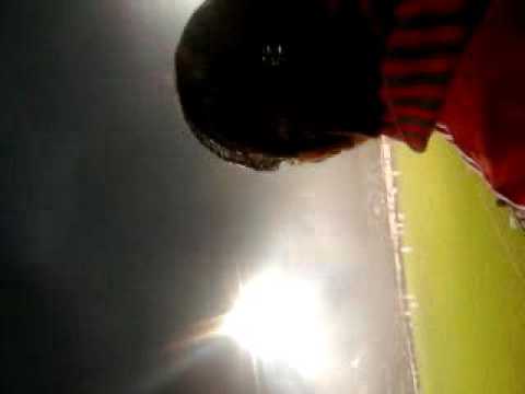 Crvena Zvezda finale kupa 2012