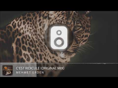 Mehmet Erden - C’est Ridicule