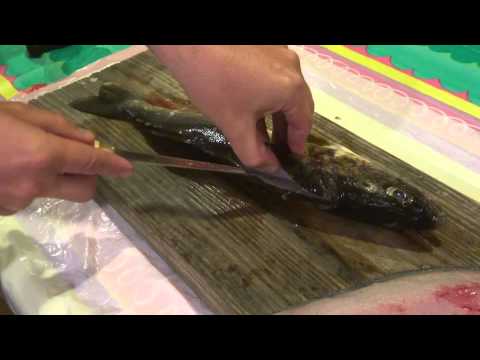 Walleye Fillet Technique Lyubaka's Baits