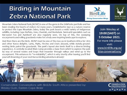Conservation Conversations: Birding in Mountain Zebra National Park - Wesley Gush