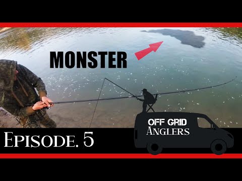 CATCHING A MONSTER CATFISH. RIVER EBRO 2022